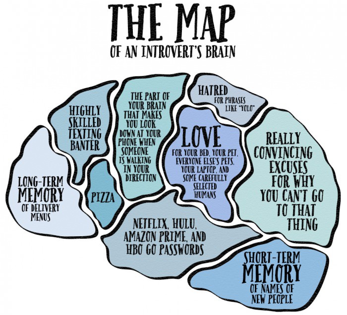 the_brain_of_an_introvert-436567